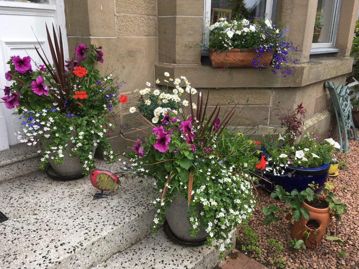 Alberta Guest House Dundee Luaran gambar